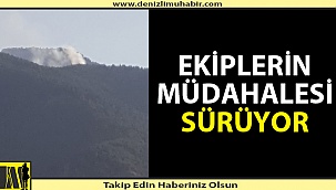 Denizli'de orman yangını