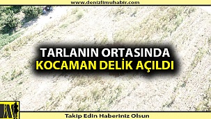 Denizli'de tarlada bir araba büyüklüğünde obruk oluştu