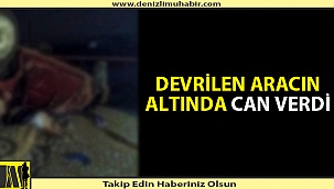 Denizli'de trafik kazası