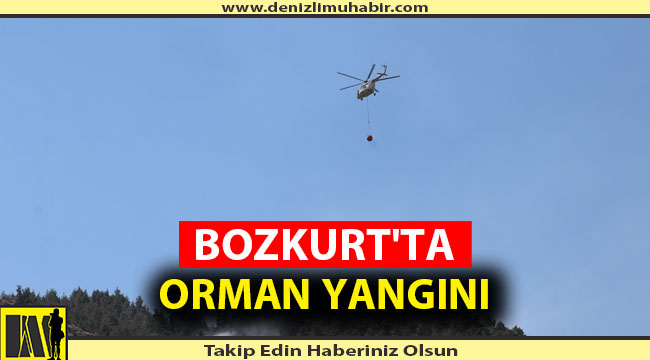 Ekipler Yangına Müdahale Ediyor