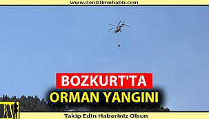 Ekipler Yangına Müdahale Ediyor