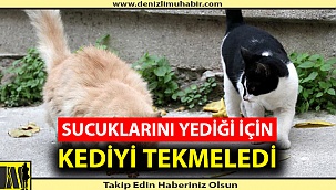 Kediyi Tekmeleyen Adama 900 Lira Ceza Kesildi