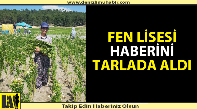 Tarladan Fen Lisesine