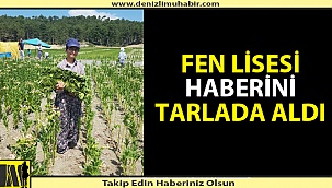 Tarladan Fen Lisesine