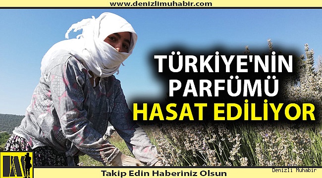 ÜRETİCİNİN YÜZÜ GÜLÜYOR