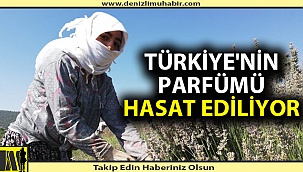 ÜRETİCİNİN YÜZÜ GÜLÜYOR