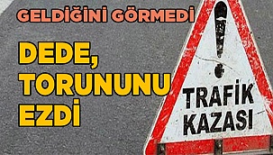 DEDE, TORUNUNU EZDİ