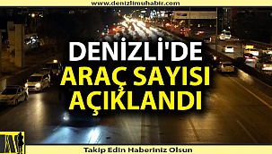 Denizli'de araç sayısı arttı