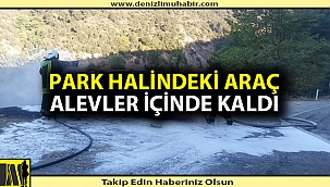 Denizli'de araç yangını