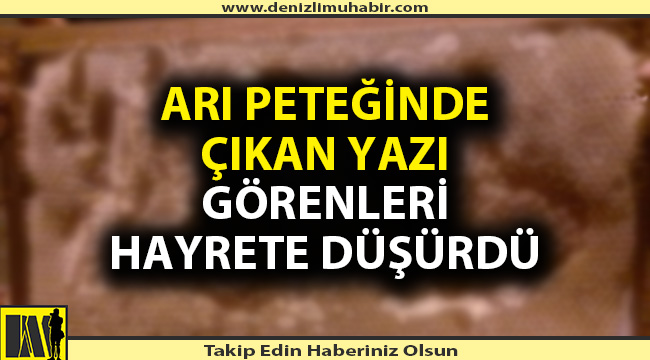 Denizli'de arı peteğini görenler inanamadı
