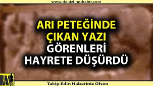 Denizli'de arı peteğini görenler inanamadı