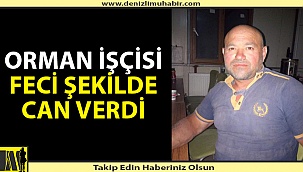 Denizli'de bir orman işçisi hayatını kaybetti