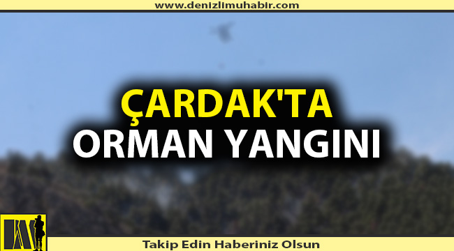 Denizli'de çıkan orman yangınına müdahale ediliyor