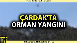 Denizli'de çıkan orman yangınına müdahale ediliyor