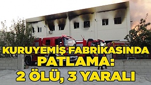 Denizli'de kuruyemiş fabrikasında patlama: 2 ölü, 3 yaralı