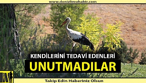 Denizli'de leylekler her sabah hekimlerini ziyaret ediyor