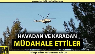 Denizli'de orman yangını