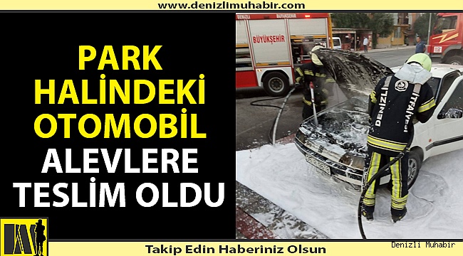 Denizli'de park halindeki araç yandı