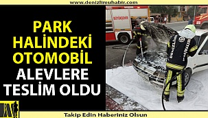 Denizli'de park halindeki araç yandı