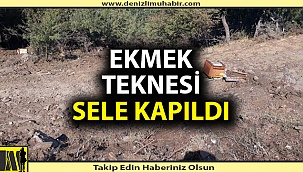 Denizli'de sağanak yağış pek çok yerde maddi hasara neden oldu