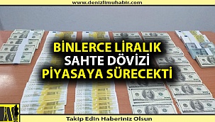 Denizli'de sahte para operasyonu