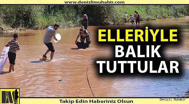 Denizli'de sel balık bolluğu yarattı
