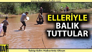 Denizli'de sel balık bolluğu yarattı
