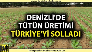 Denizli'de tütün üretimi Türkiye'yi solladı