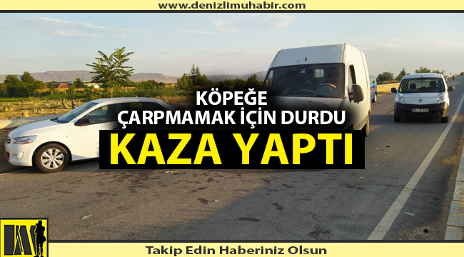 Denizli'de yola çıkan hayvana çarpmamak için kaza yaptı