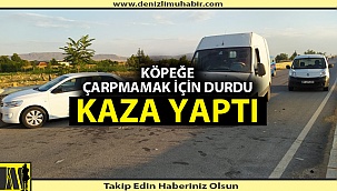Denizli'de yola çıkan hayvana çarpmamak için kaza yaptı