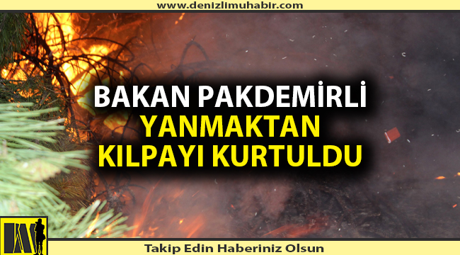 Denizli'deki yangın uzun uğraşlar sonunda söndürüldü