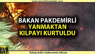 Denizli'deki yangın uzun uğraşlar sonunda söndürüldü