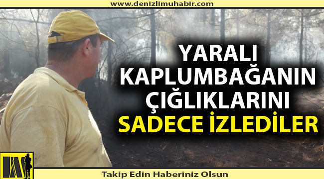 Denizli'deki yangında doğal hayat kadar vicdanlar da zarar gördü