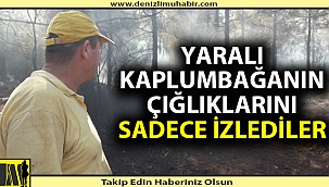 Denizli'deki yangında doğal hayat kadar vicdanlar da zarar gördü