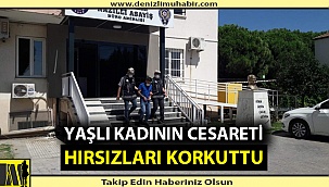 Denizli'den Nazilli'ye gasp için gittiler