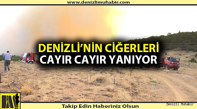 Denizli'nin ciğerine ateş düştü