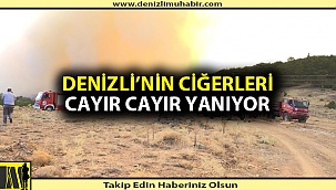 Denizli'nin ciğerine ateş düştü