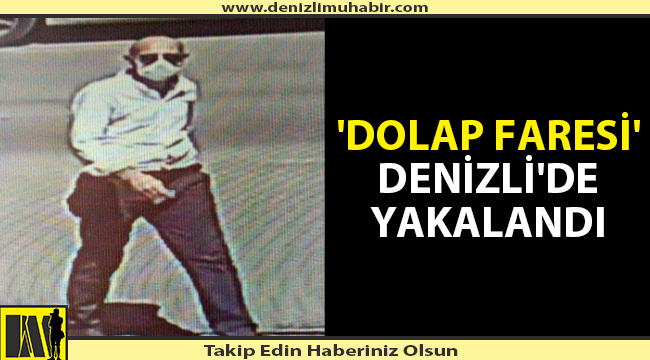 Denizli ve Uşak'ta fabrikalara dadanan dolap faresi yakalandı
