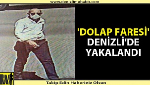 Denizli ve Uşak'ta fabrikalara dadanan dolap faresi yakalandı