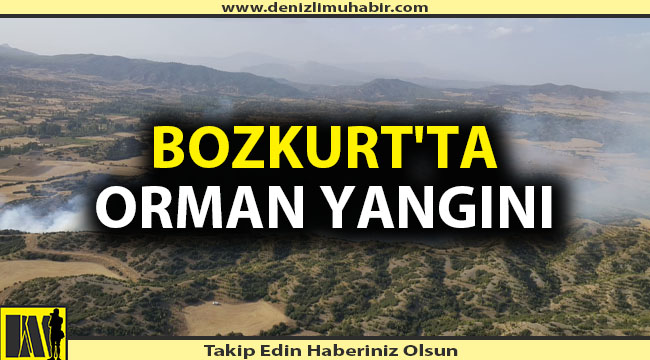 Ekipler söndürmek için yoğun çaba sarfediyor