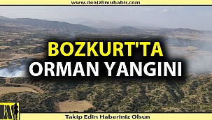 Ekipler söndürmek için yoğun çaba sarfediyor