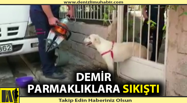 İtfaiye ekiplerini sakince bekledi