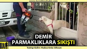İtfaiye ekiplerini sakince bekledi