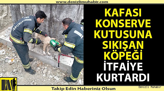 Kafası konserve kutusuna sıkışan köpeği itfaiye kurtardı