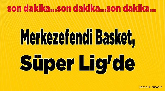 Merkezefendi Basket,Süper Lig'de