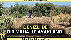 Taş ocağı uğruna bir mahallenin tarımına darbe vurulacak