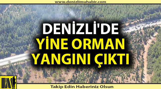 Yangında kundaklama şüphesi