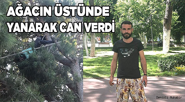 27 yaşındaki genç, çam ağacının tepesinde yanarak hayatını kaybetti