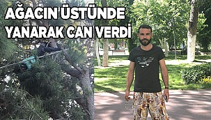 27 yaşındaki genç, çam ağacının tepesinde yanarak hayatını kaybetti