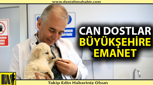 Can dostlar büyükşehire emanet